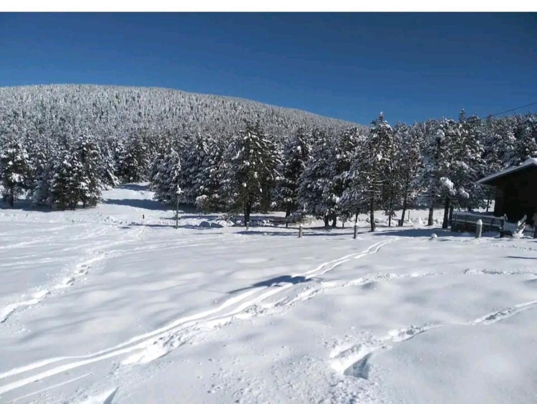 Apartamento En El Pirineo Catalan Sant Jordi de Cercs Εξωτερικό φωτογραφία